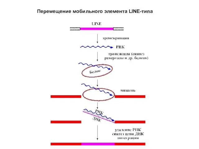 Перемещение мобильного элемента LINE-типа