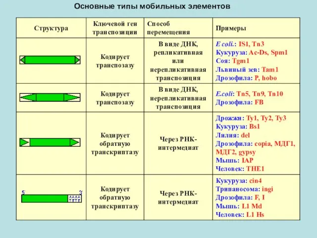 Основные типы мобильных элементов