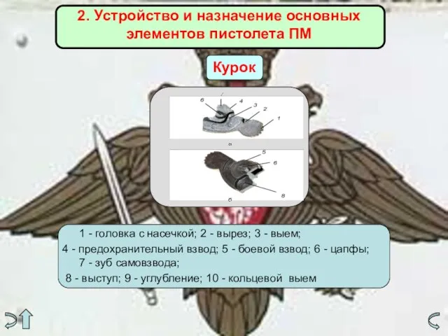 2. Устройство и назначение основных элементов пистолета ПМ Курок 1 - головка