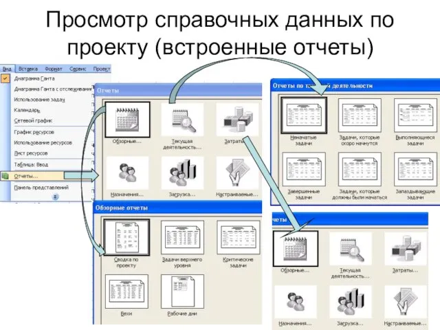 Просмотр справочных данных по проекту (встроенные отчеты)