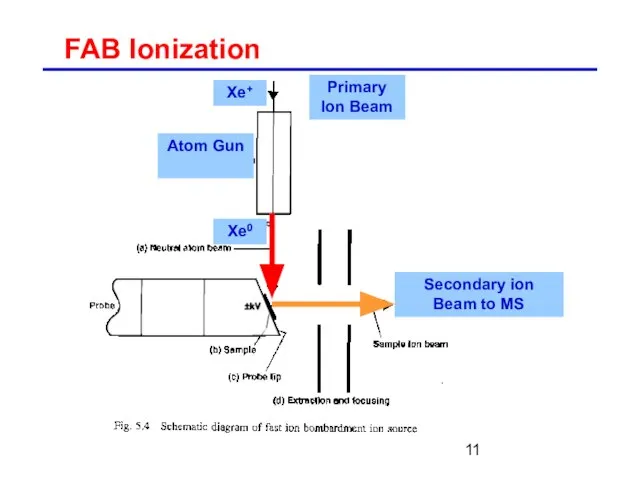 FAB Ionization Xe+ Xe0 Primary Ion Beam Atom Gun Secondary ion Beam to MS