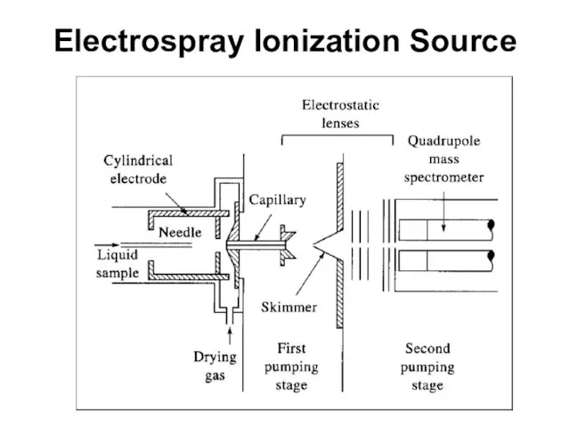 Electrospray Ionization Source