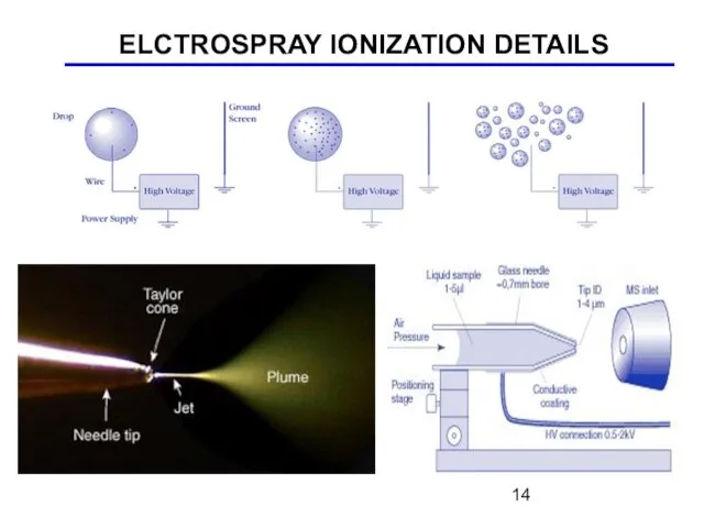 ELCTROSPRAY IONIZATION DETAILS