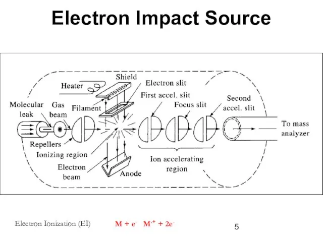 Electron Impact Source Electron Ionization (EI) M + e- ? M.+ + 2e-