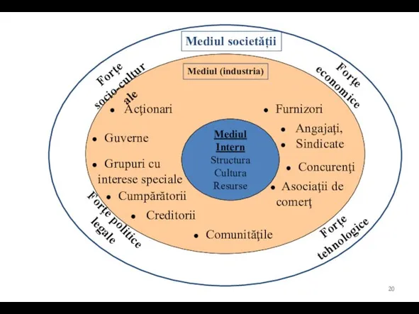 Mediul societății Mediul (industria) Mediul Intern Structura Cultura Resurse Forţe economice Forţe