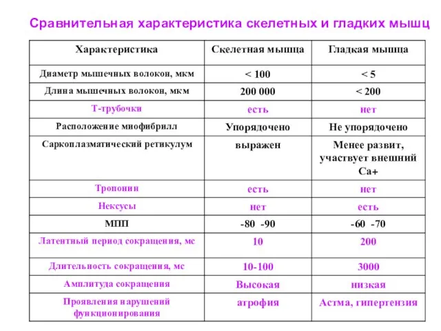 Сравнительная характеристика скелетных и гладких мышц