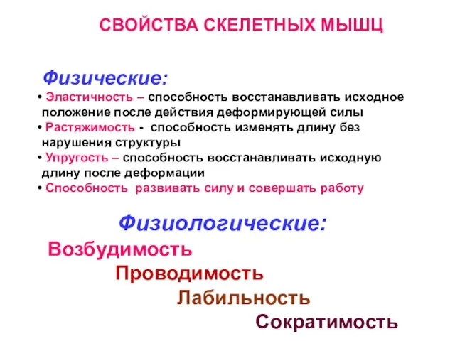 СВОЙСТВА СКЕЛЕТНЫХ МЫШЦ Физические: Эластичность – способность восстанавливать исходное положение после действия