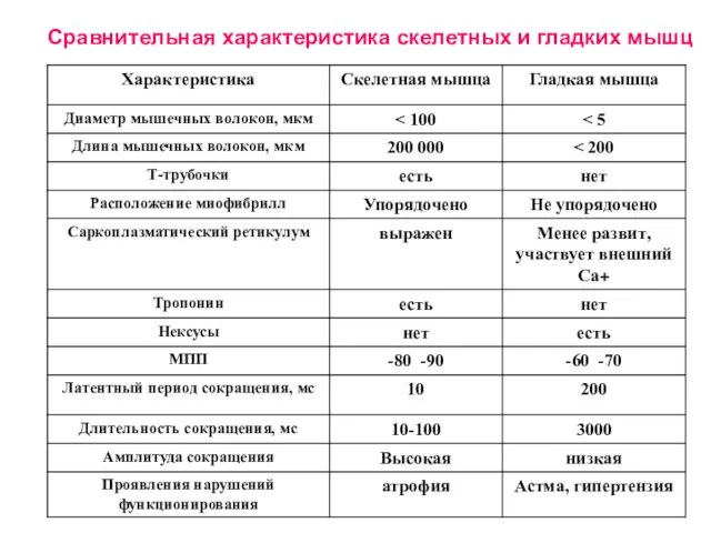 Сравнительная характеристика скелетных и гладких мышц