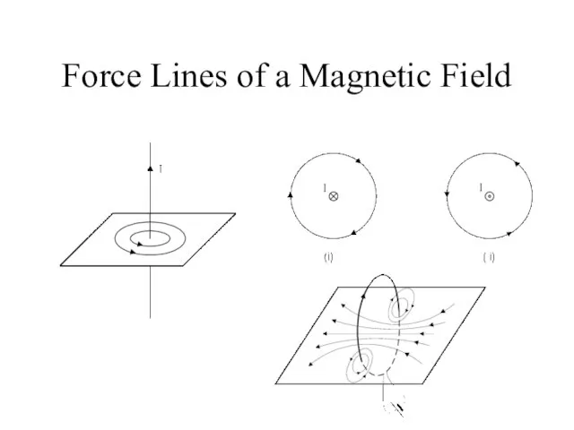 Force Lines of a Magnetic Field