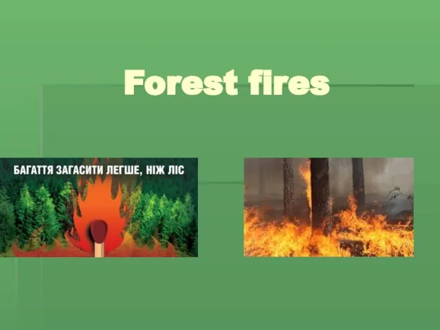 Forest fires