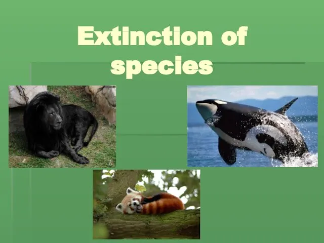 Extinction of species