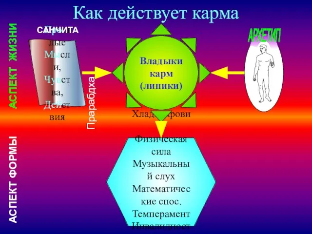 Как действует карма Хладнокровие Физическая сила Музыкальный слух Математические спос. Темперамент Инвалидность