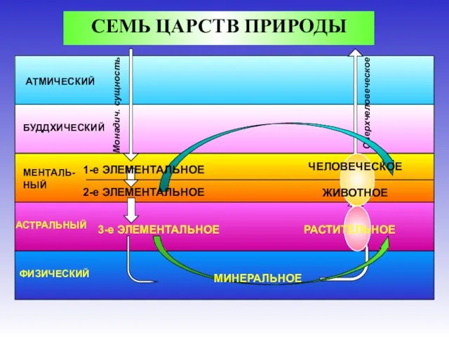 АТМИЧЕСКИЙ БУДДХИЧЕСКИЙ МЕНТАЛЬ-НЫЙ АСТРАЛЬНЫЙ ФИЗИЧЕСКИЙ Монадич. сущность Сверхчеловеческое СЕМЬ ЦАРСТВ ПРИРОДЫ 2-е