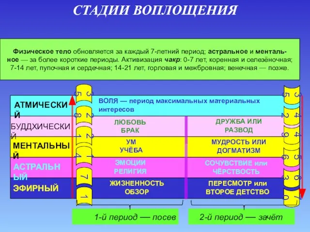 Физическое тело обновляется за каждый 7-летний период; астральное и менталь- ное —