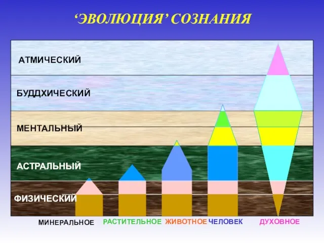 АТМИЧЕСКИЙ БУДДХИЧЕСКИЙ МЕНТАЛЬНЫЙ МИНЕРАЛЬНОЕ РАСТИТЕЛЬНОЕ ЧЕЛОВЕК ЖИВОТНОЕ ДУХОВНОЕ ФИЗИЧЕСКИЙ АСТРАЛЬНЫЙ ‘ЭВОЛЮЦИЯ’ СОЗНАНИЯ