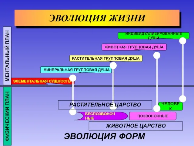 ЧЕЛОВЕК ЭВОЛЮЦИЯ ЖИЗНИ ИНДИВИДУАЛИЗИРОВАННЫЕ ДУШИ РАСТИТЕЛЬНАЯ ГРУППОВАЯ ДУША МИНЕРАЛЬНАЯ ГРУППОВАЯ ДУША ЭЛЕМЕНТАЛЬНАЯ