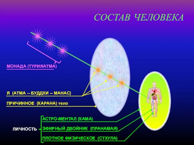 ПЛОТНОЕ ФИЗИЧЕСКОЕ (СТХУЛА) ЭФИРНЫЙ ДВОЙНИК (ПРАНАМАЯ) АСТРО-МЕНТАЛ (КАМА) ПРИЧИННОЕ (КАРАНА) тело Я