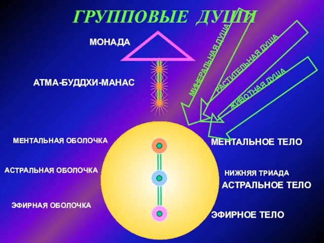 ГРУППОВЫЕ ДУШИ МОНАДА АТМА-БУДДХИ-МАНАС НИЖНЯЯ ТРИАДА МЕНТАЛЬНАЯ ОБОЛОЧКА АСТРАЛЬНАЯ ОБОЛОЧКА ЭФИРНАЯ ОБОЛОЧКА