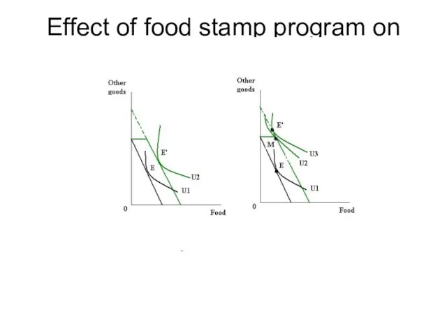 Effect of food stamp program on consumption