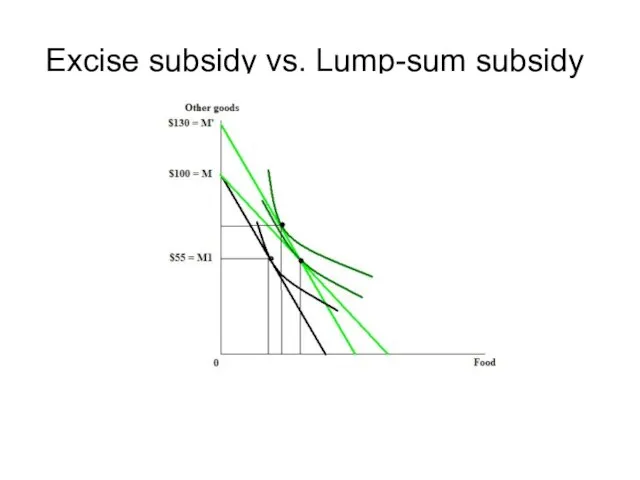 Excise subsidy vs. Lump-sum subsidy