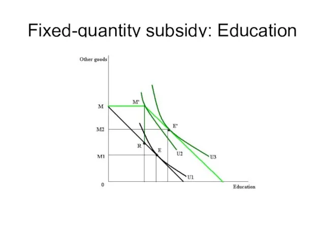 Fixed-quantity subsidy: Education