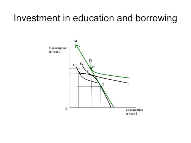 Investment in education and borrowing