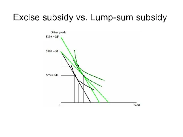 Excise subsidy vs. Lump-sum subsidy