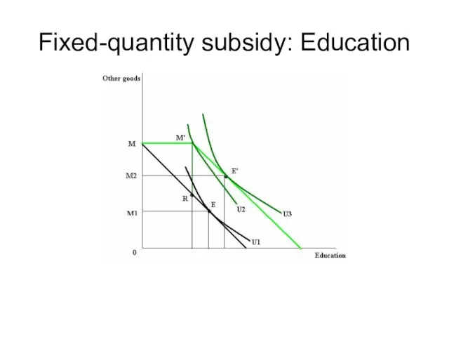 Fixed-quantity subsidy: Education