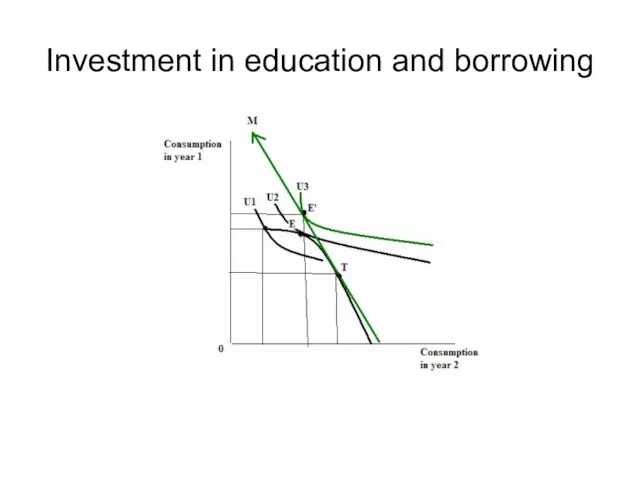 Investment in education and borrowing