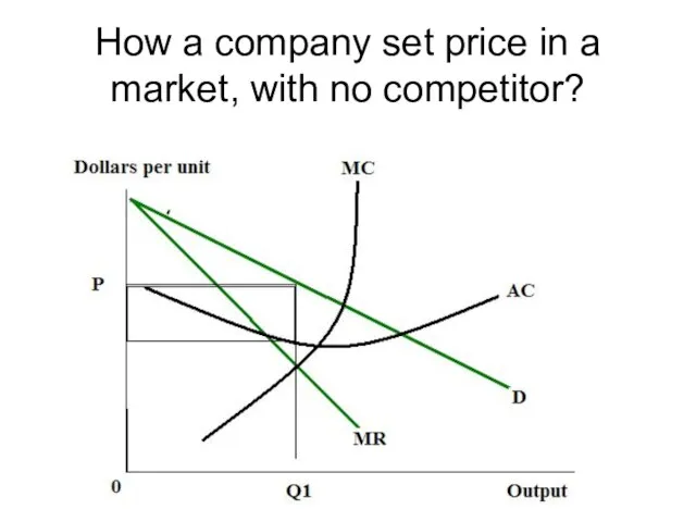 How a company set price in a market, with no competitor?