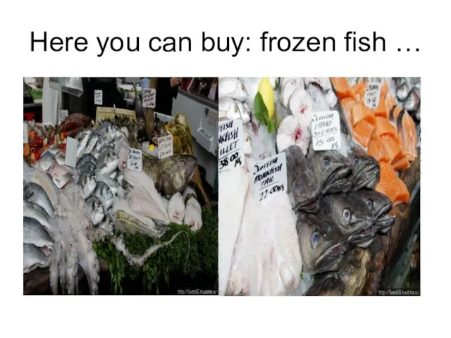 Here you can buy: frozen fish …