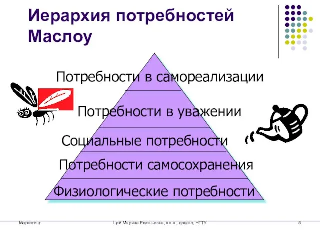 Маркетинг Цой Марина Евгеньевна, к.э.н., доцент, НГТУ Иерархия потребностей Маслоу Физиологические потребности