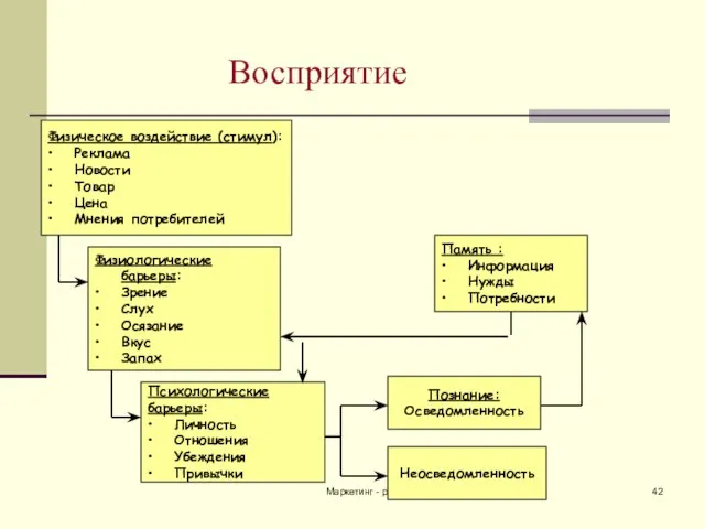 Маркетинг - реклама Восприятие Физическое воздействие (стимул): Реклама Новости Товар Цена Мнения