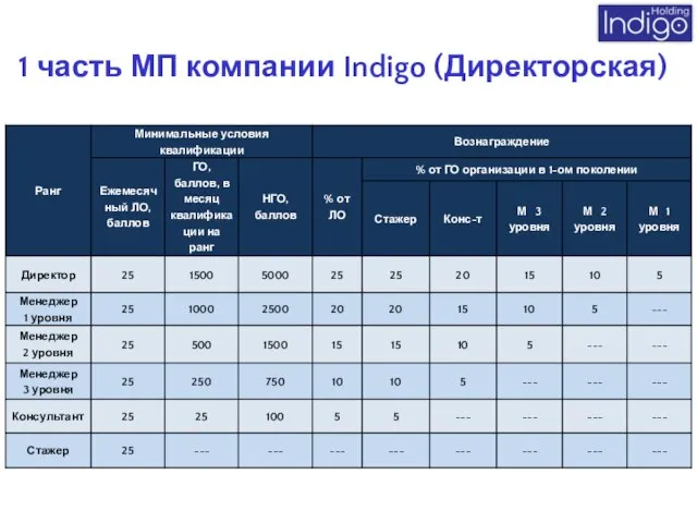 1 часть МП компании Indigo (Директорская)