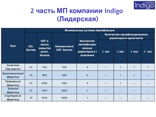 2 часть МП компании Indigo (Лидерская)