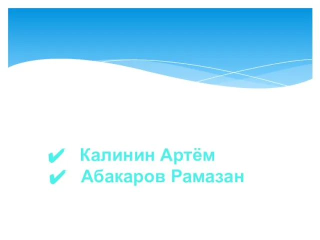 Работу выполнили: Калинин Артём Абакаров Рамазан