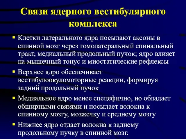 Связи ядерного вестибулярного комплекса Клетки латерального ядра посылают аксоны в спинной мозг