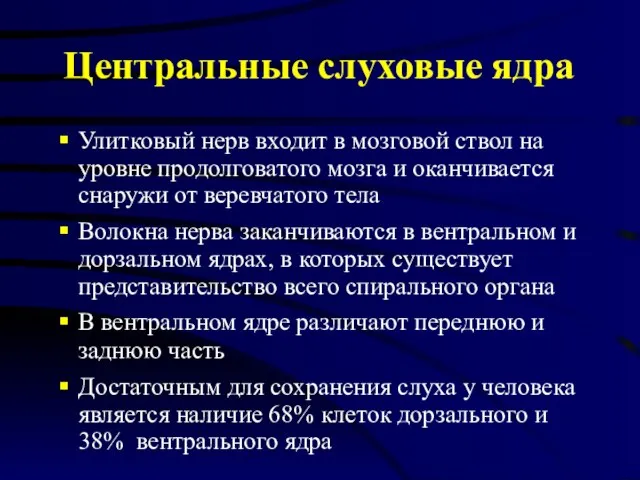 Центральные слуховые ядра Улитковый нерв входит в мозговой ствол на уровне продолговатого