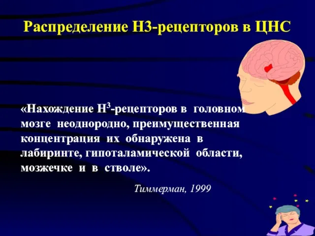 Распределение H3-рецепторов в ЦНС «Нахождение Н3-рецепторов в головном мозге неоднородно, преимущественная концентрация