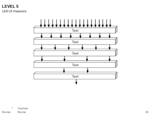 LEVEL 5 Text Text Text Text Text Unit of measure * Footnote Source: Source