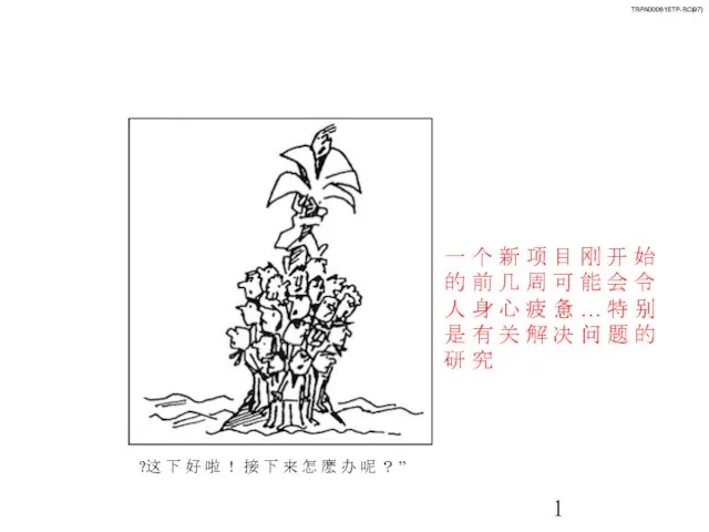 一 个 新 项 目 刚 开 始 的 前 几 周