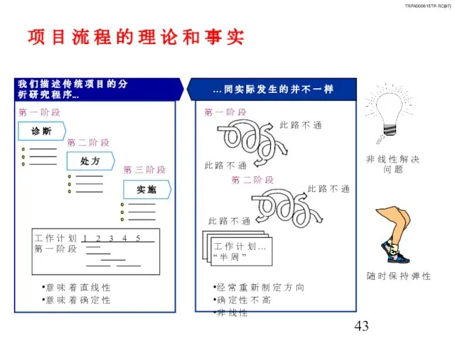 项 目 流 程 的 理 论 和 事 实 第 一