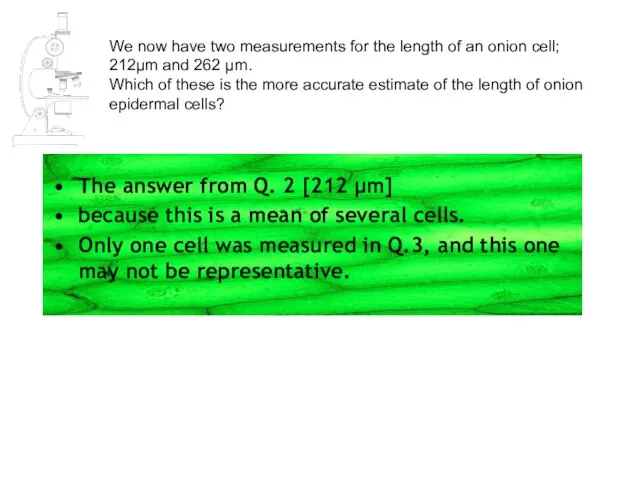 We now have two measurements for the length of an onion cell;