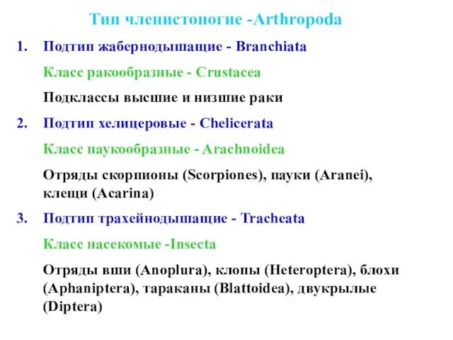 Тип членистоногие -Arthropoda Подтип жабернодышащие - Branchiata Класс ракообразные - Crustacea Подклассы