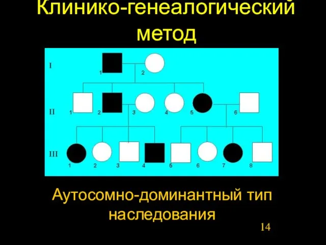 Клинико-генеалогический метод Аутосомно-доминантный тип наследования