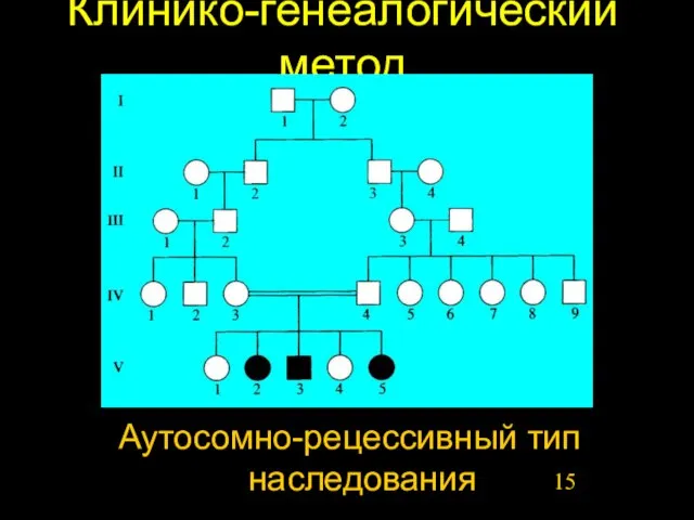 Клинико-генеалогический метод Аутосомно-рецессивный тип наследования