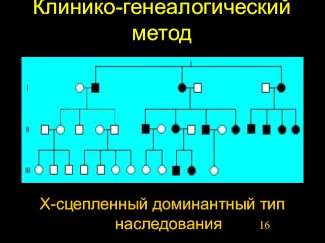 Клинико-генеалогический метод Х-сцепленный доминантный тип наследования