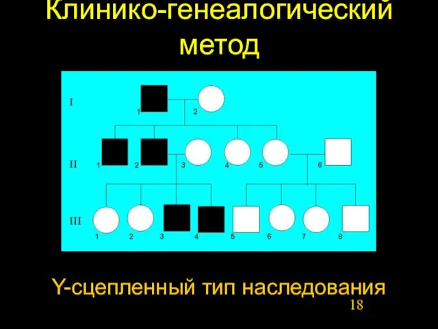 Клинико-генеалогический метод Y-сцепленный тип наследования