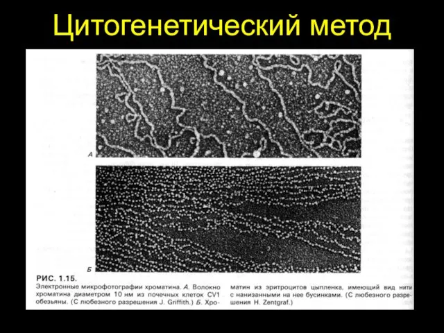 Цитогенетический метод