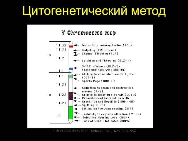 Цитогенетический метод .